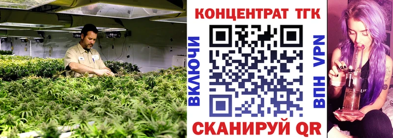 ТГК концентрат  Бузулук 