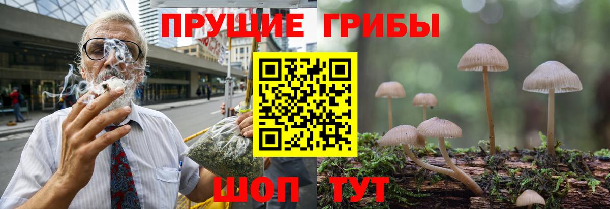 Псилоцибиновые грибы Psilocybe  Вход с VPN  Псилоцибиновые грибы Psilocybine cubensis  Бузулук 