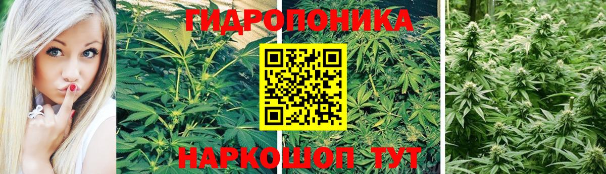 Канабис White Widow  Марихуана THC 21%  МАРИХУАНА MAZAR  Шишки марихуана семена  Бузулук 